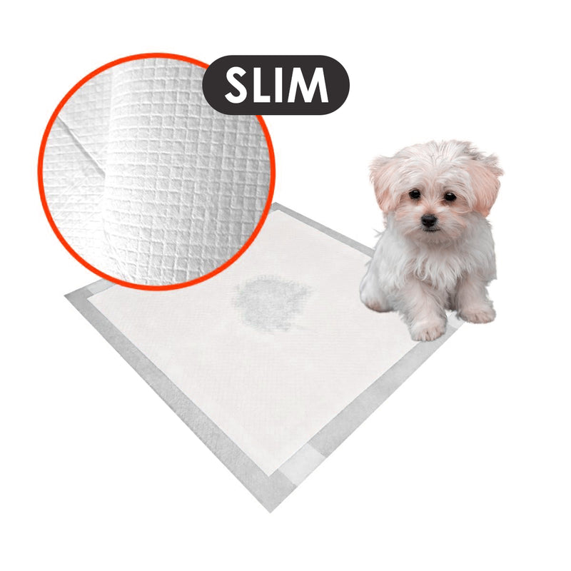 Tapete Higienico Para Pet Good Pad Slim 60cm x 60cm 30 Unidades Cães